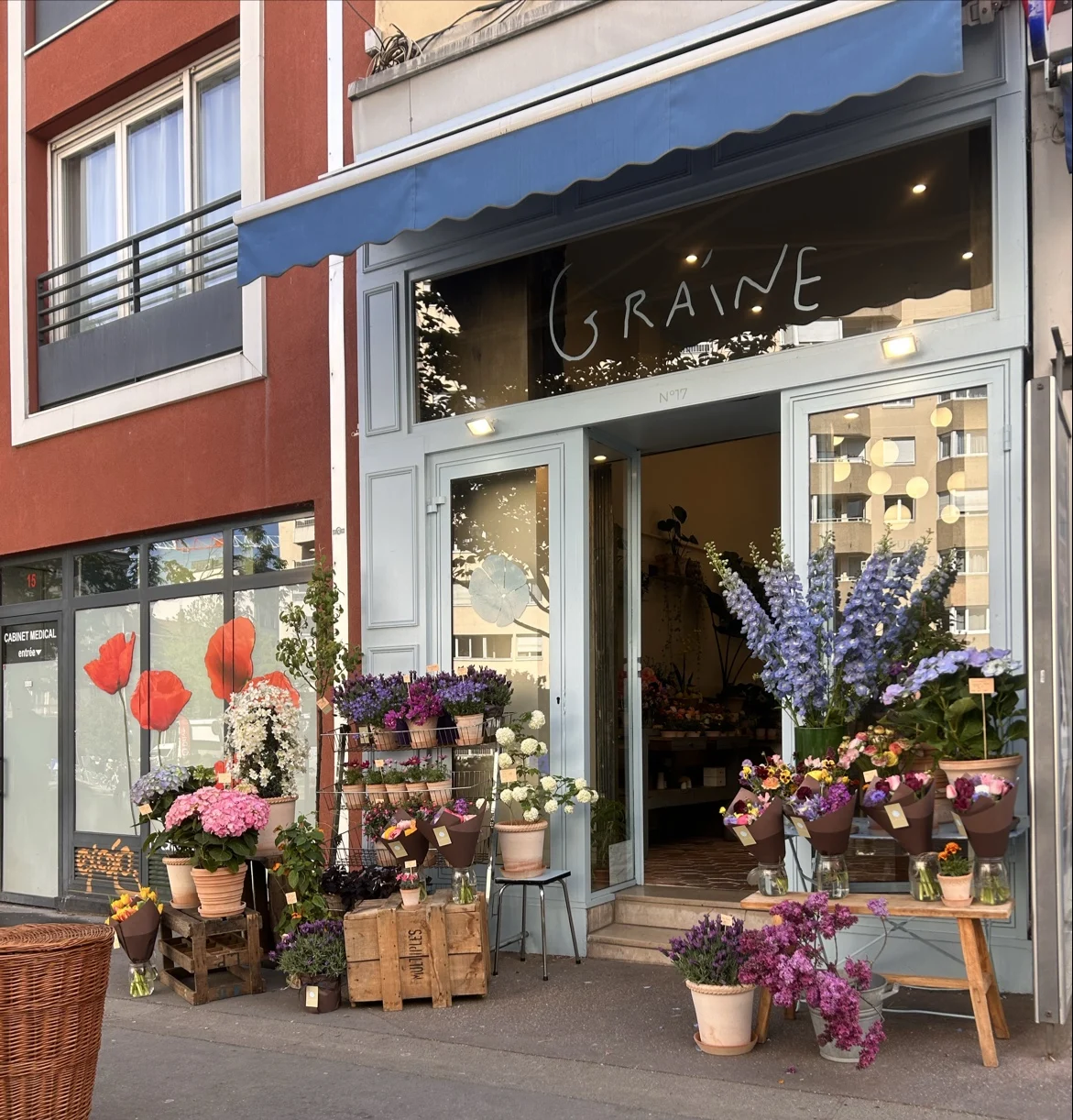 Graine