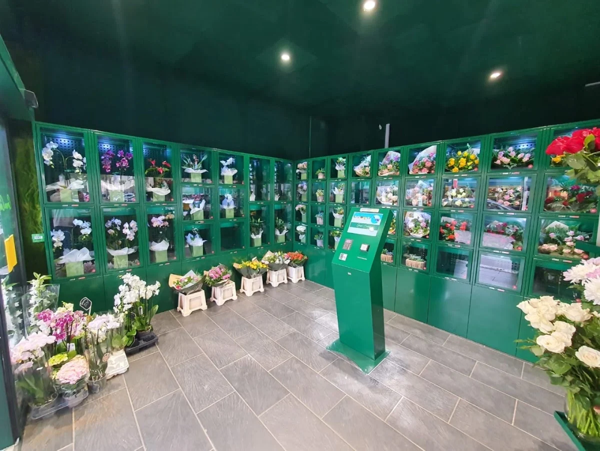 Green Corner - 2