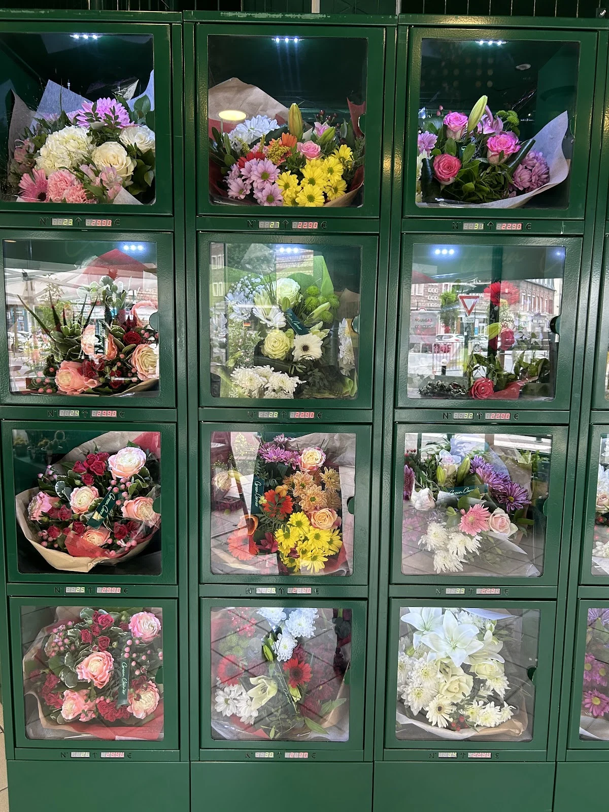 Green Corner - 3