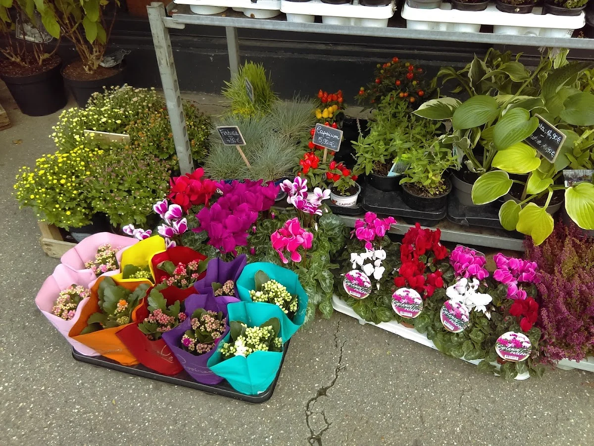 Green Corner - 4