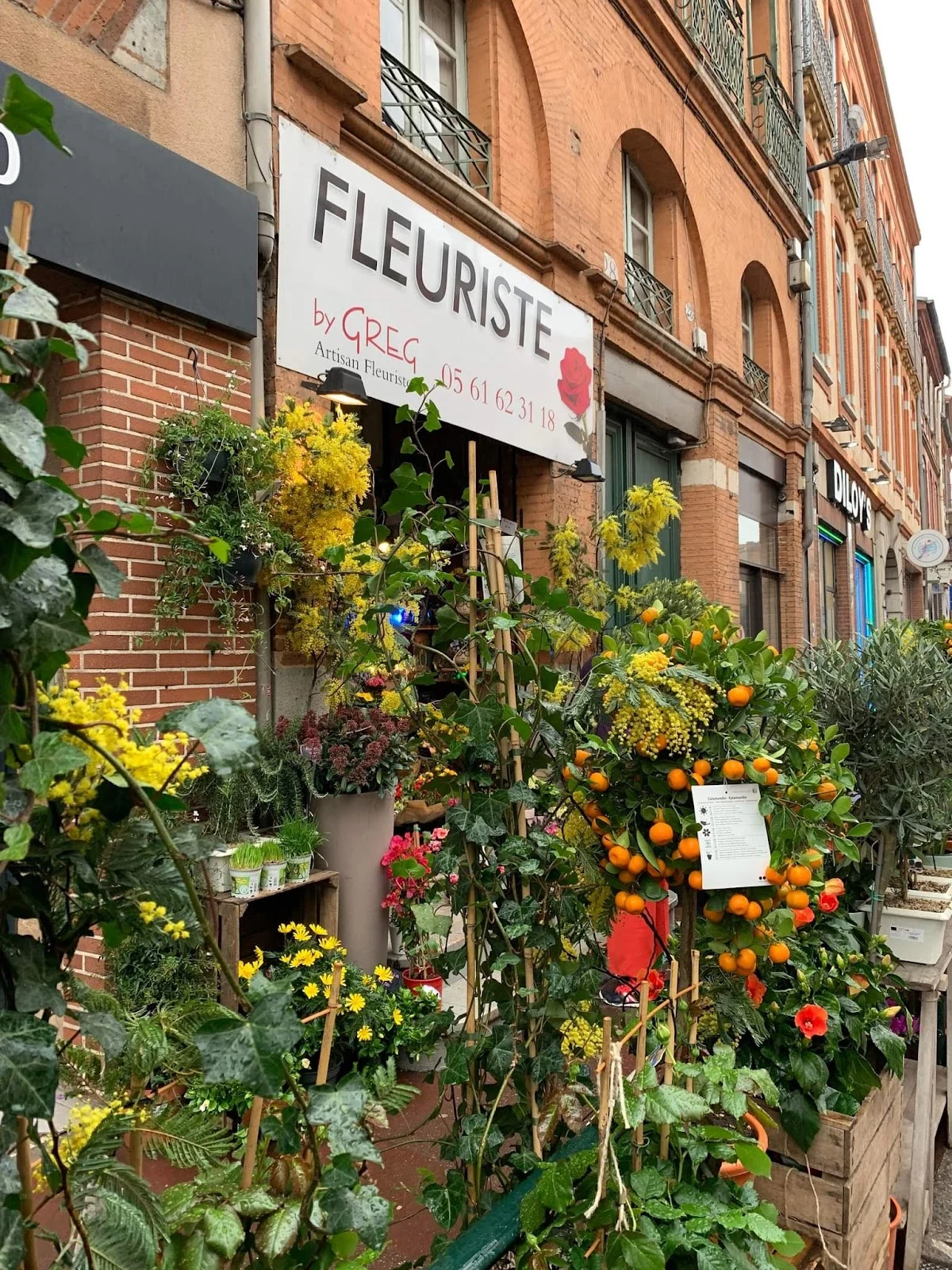 Greg - Artisan Fleuriste Toulouse - 5