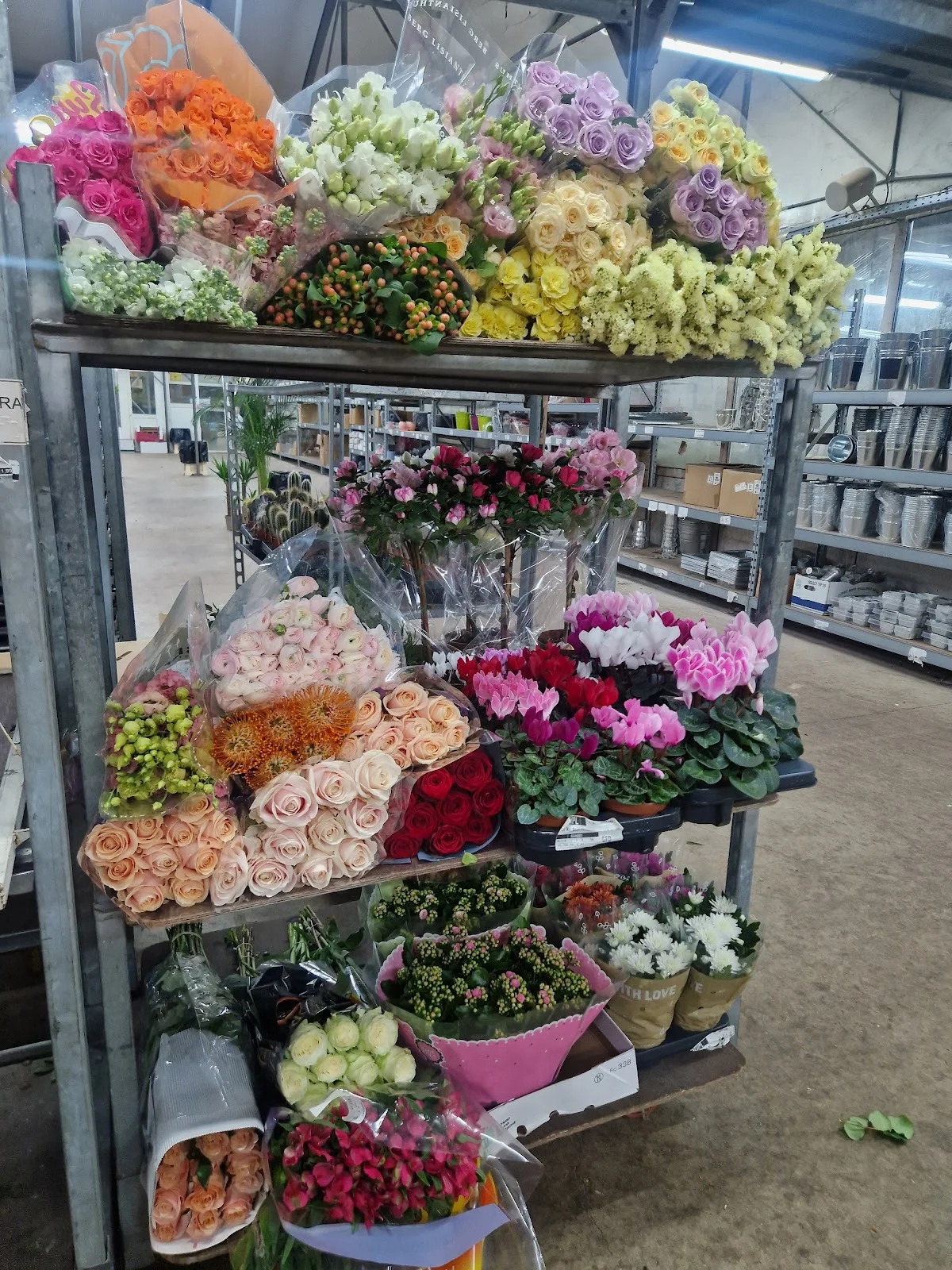 Grenoble Fleurs/dexx