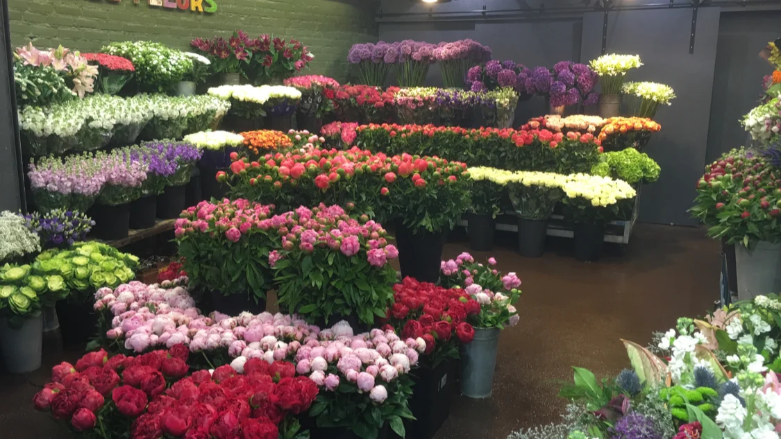 Hall Fleurs - 4