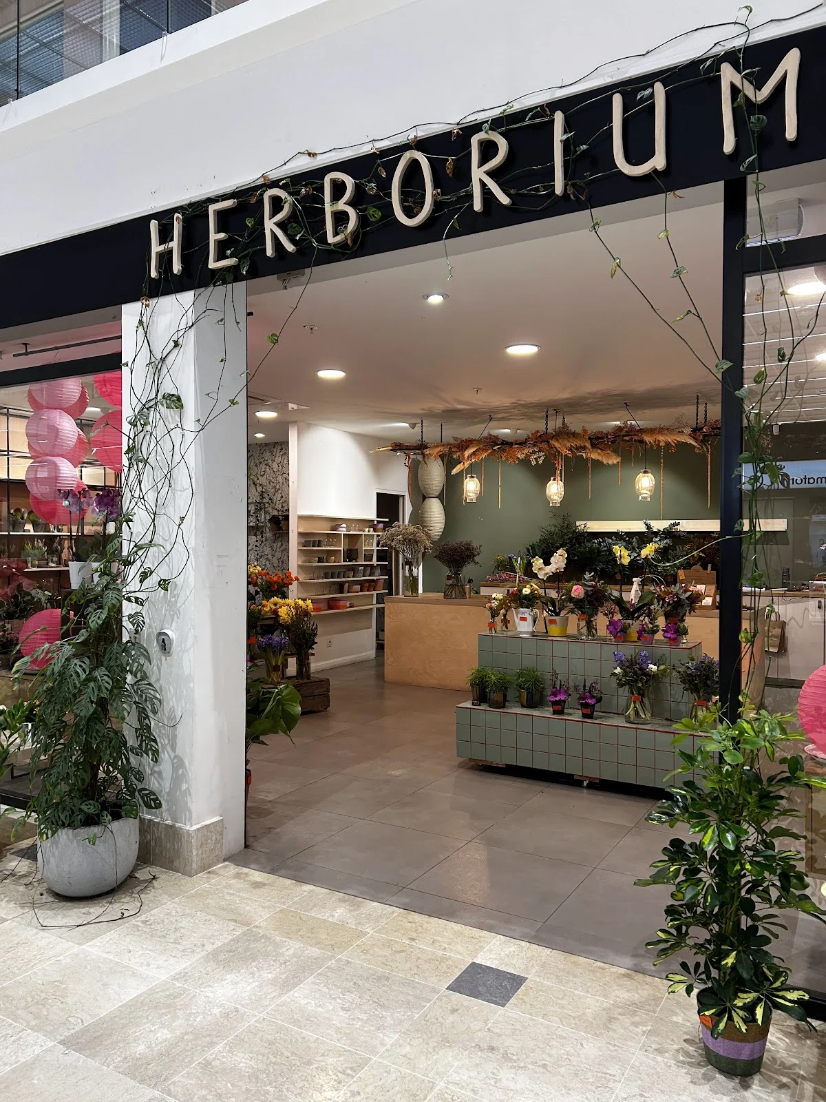 Herborium