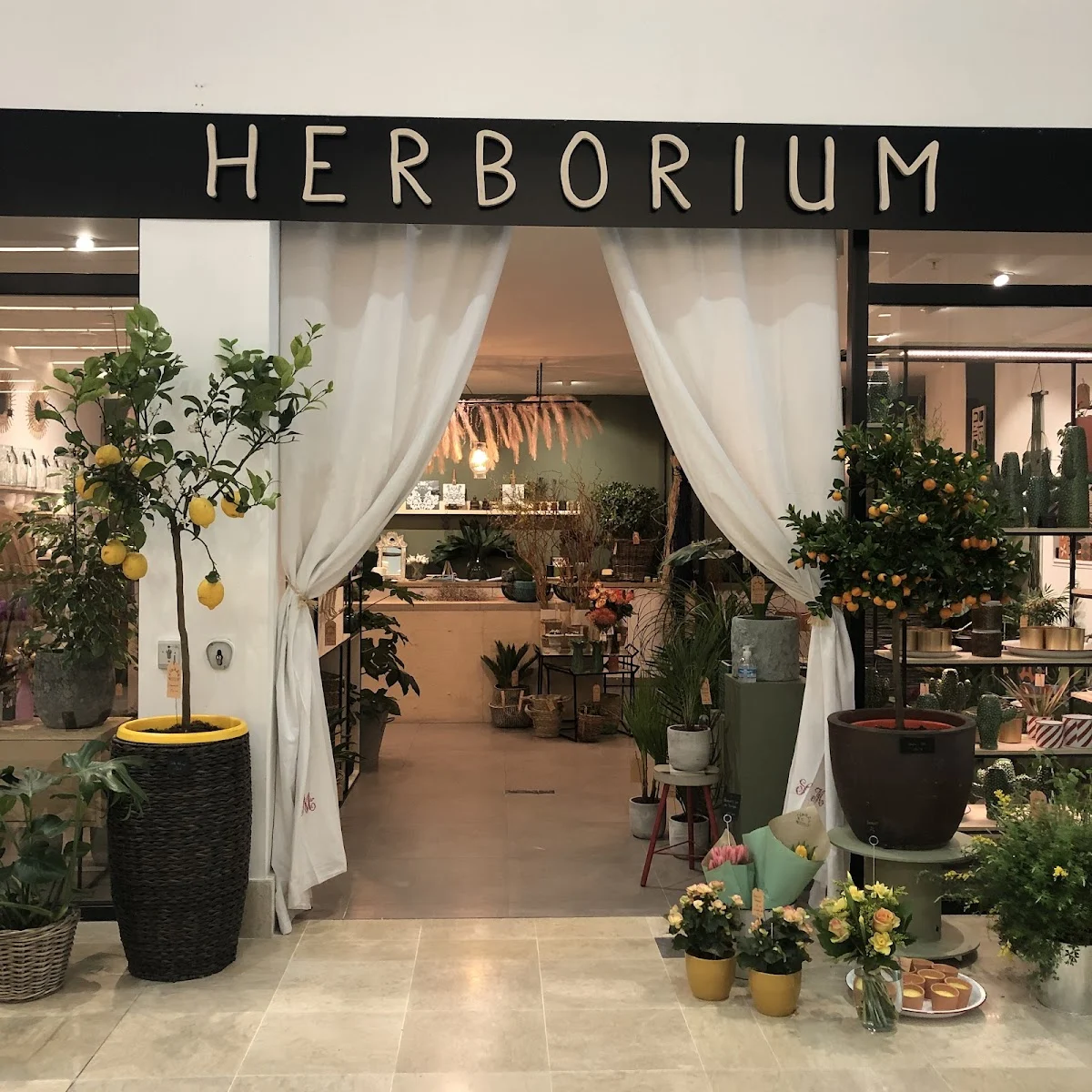 Herborium - 4