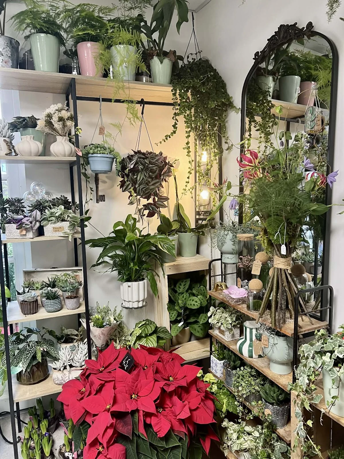 Herborium - 4
