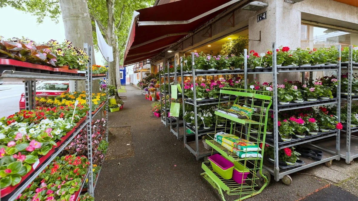 Heuber Et Compagnie "Artisan Fleuriste" - 5