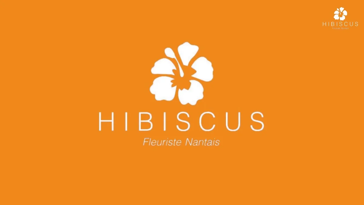 Hibiscus Fleurs - 2