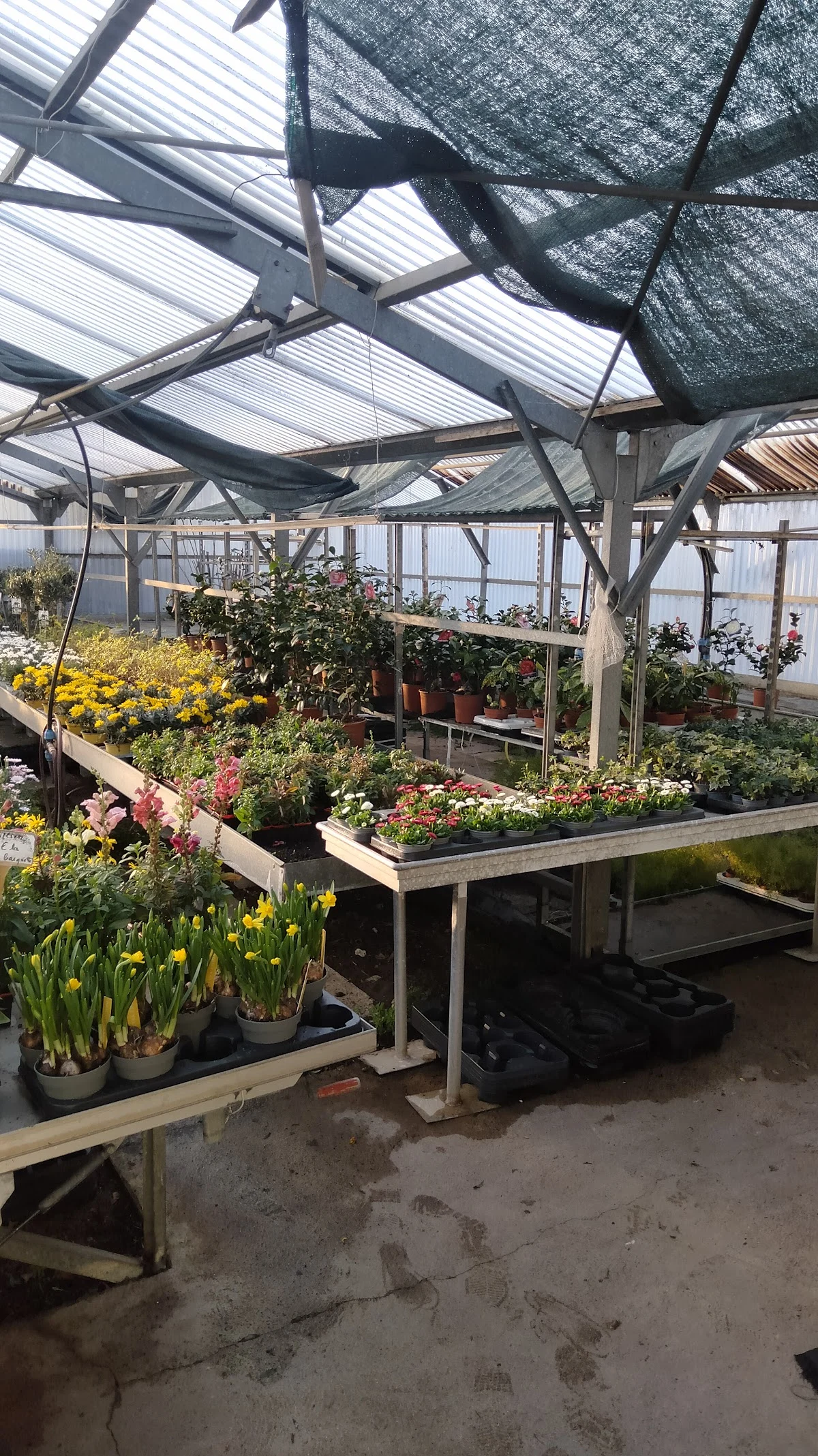 Horti-Flore