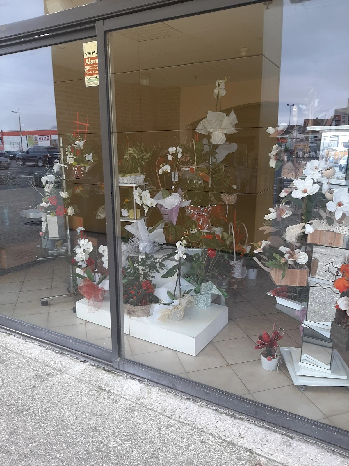 Horvath fleurs