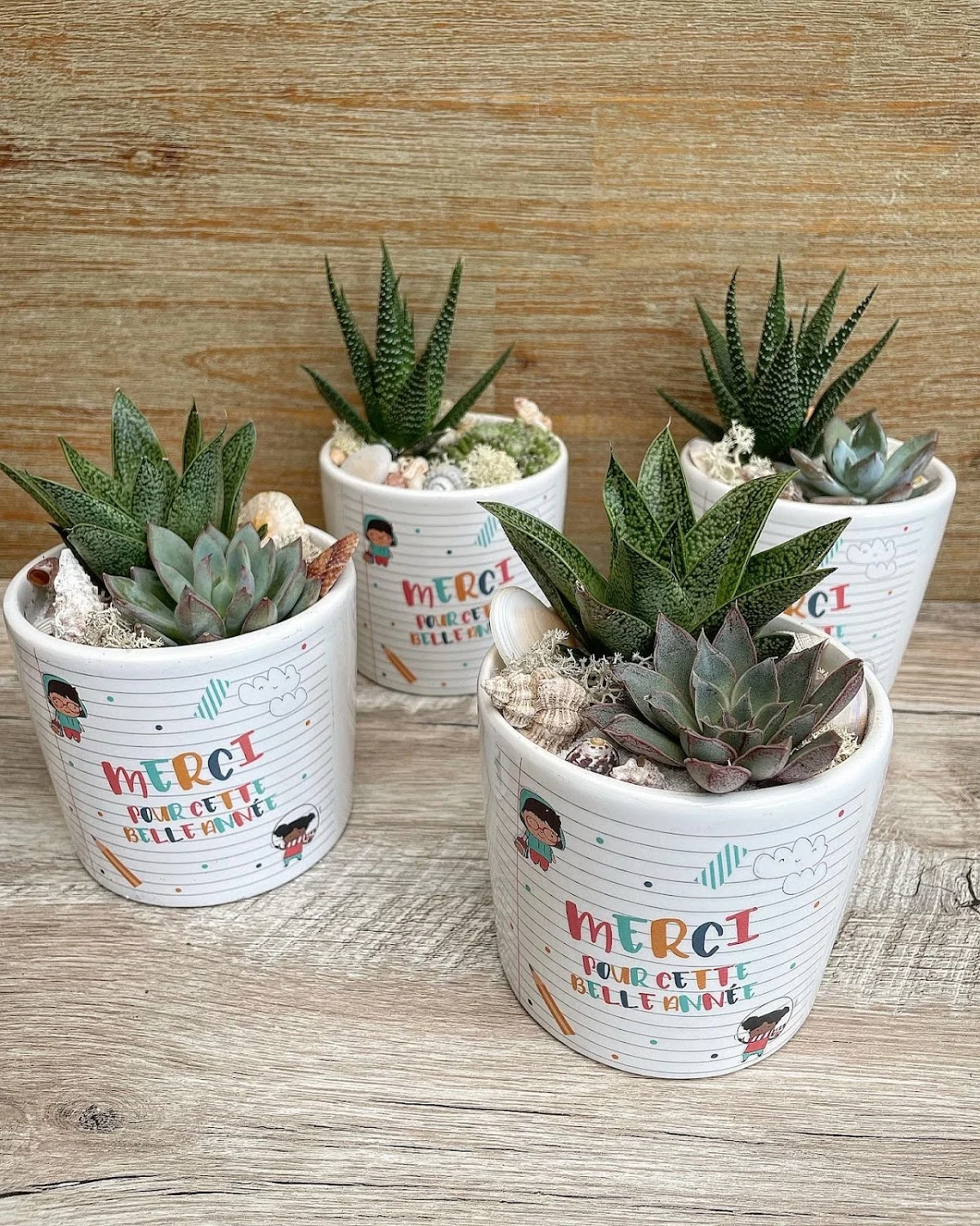 Idées Succulentes - 2