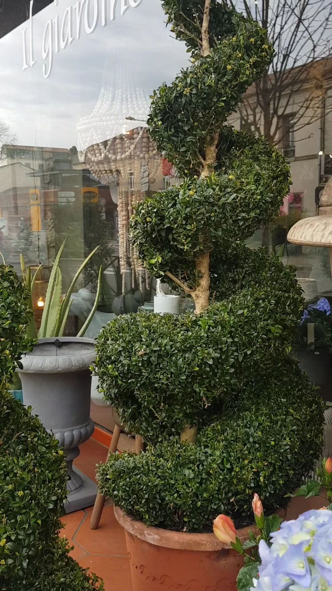 Il Giardino - 3