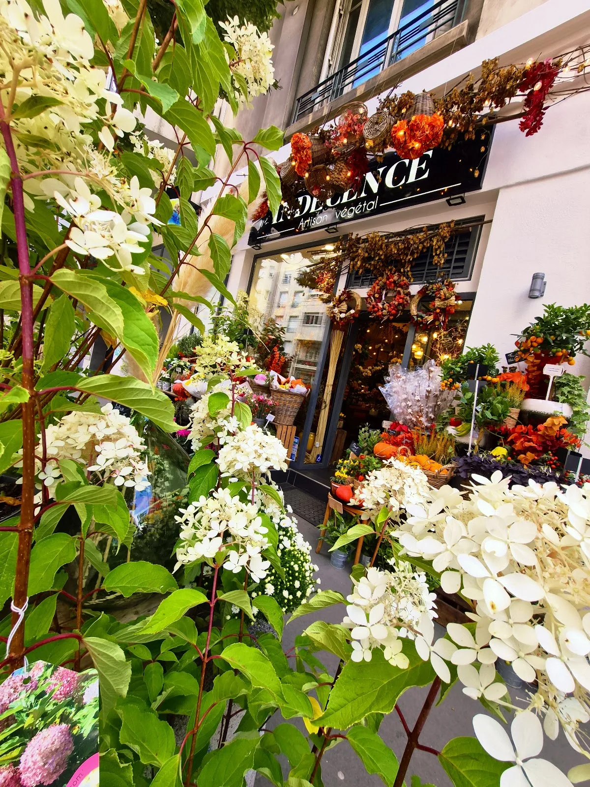 Indécence Artisan Végétal fleuriste à Lyon - 5