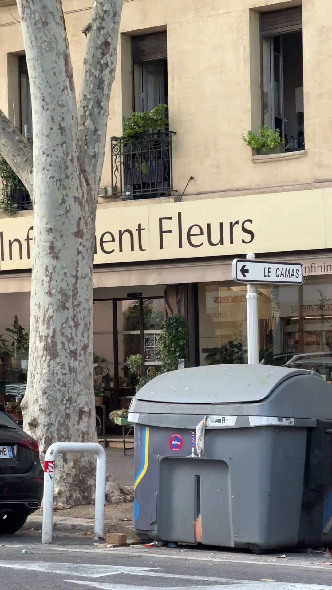 Infiniment Fleurs | Artisan Fleuriste - 3