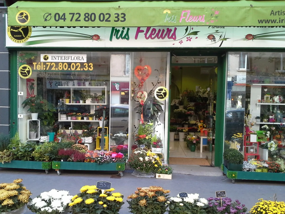 IRIS FLEURS