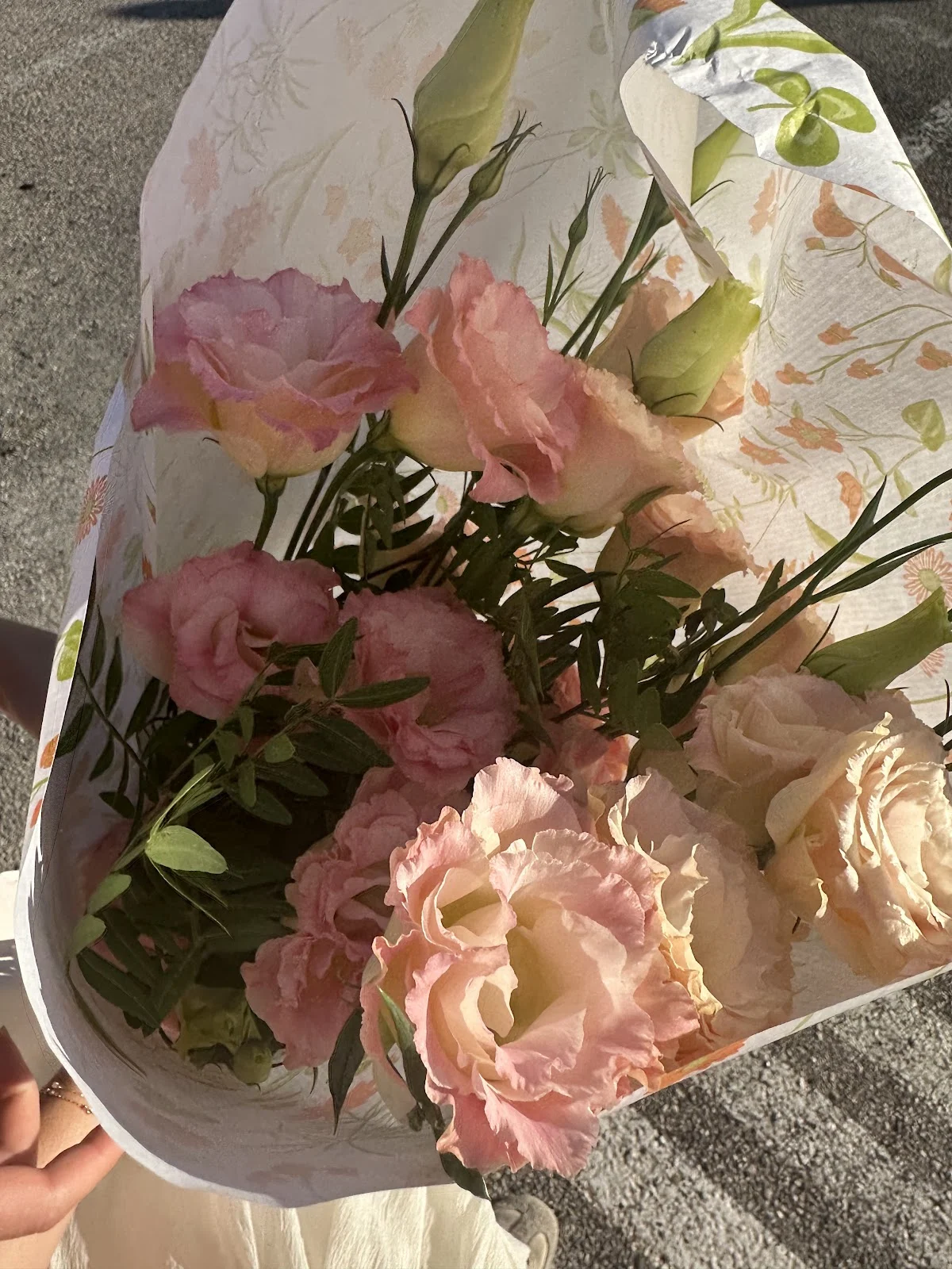 isa belles fleurs - 3