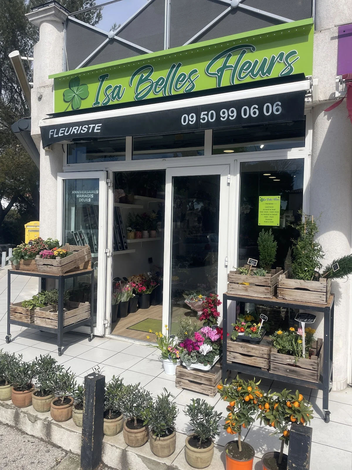isa belles fleurs
