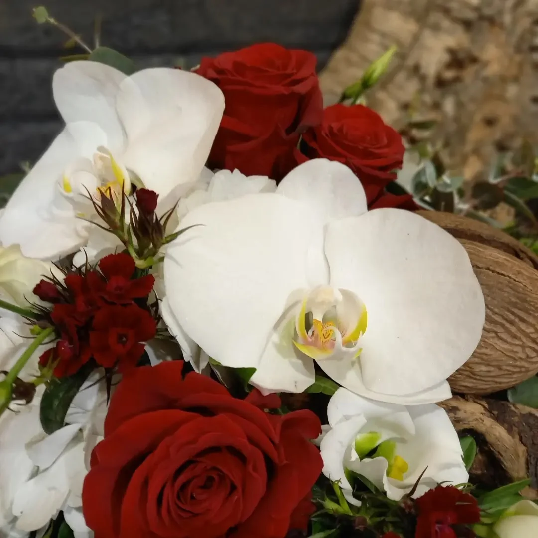 Jardin d'Alice - 4