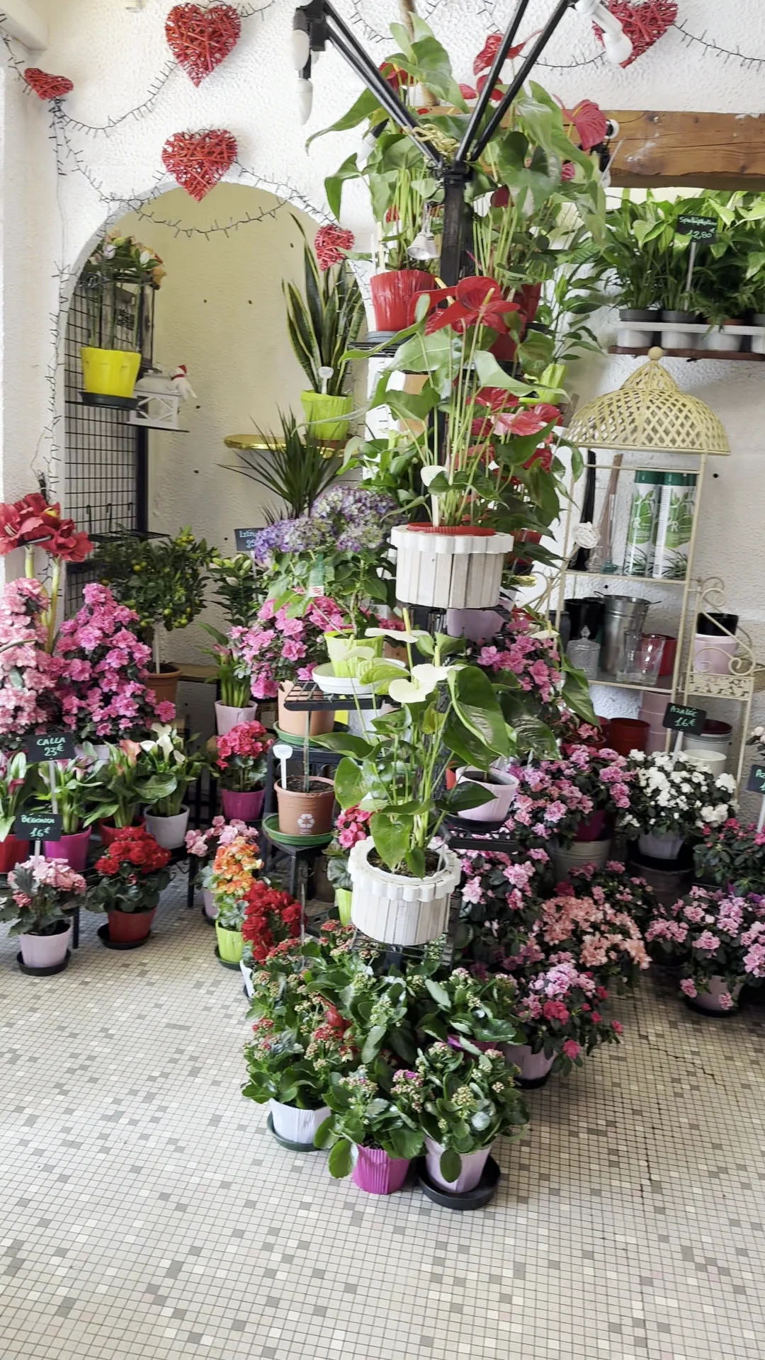 Jardin de Villepinte - 3