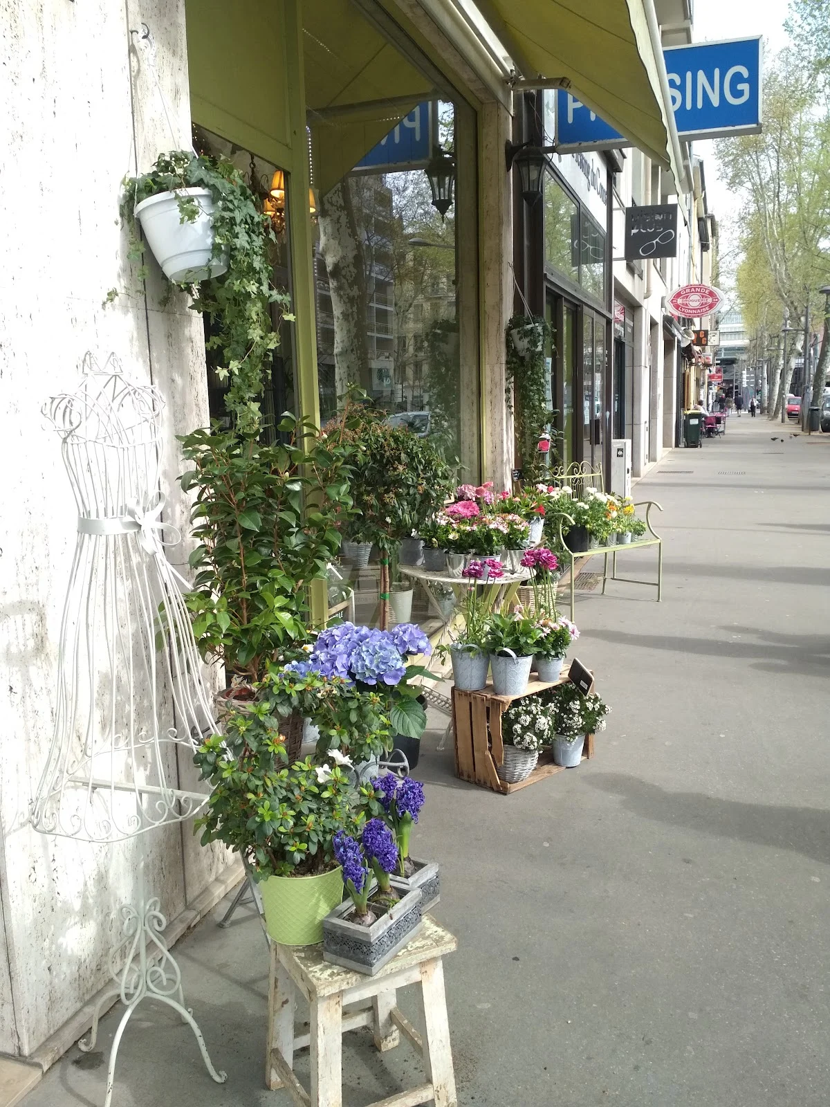 JARDIN MADEMOISELLE - Artisan Fleuriste