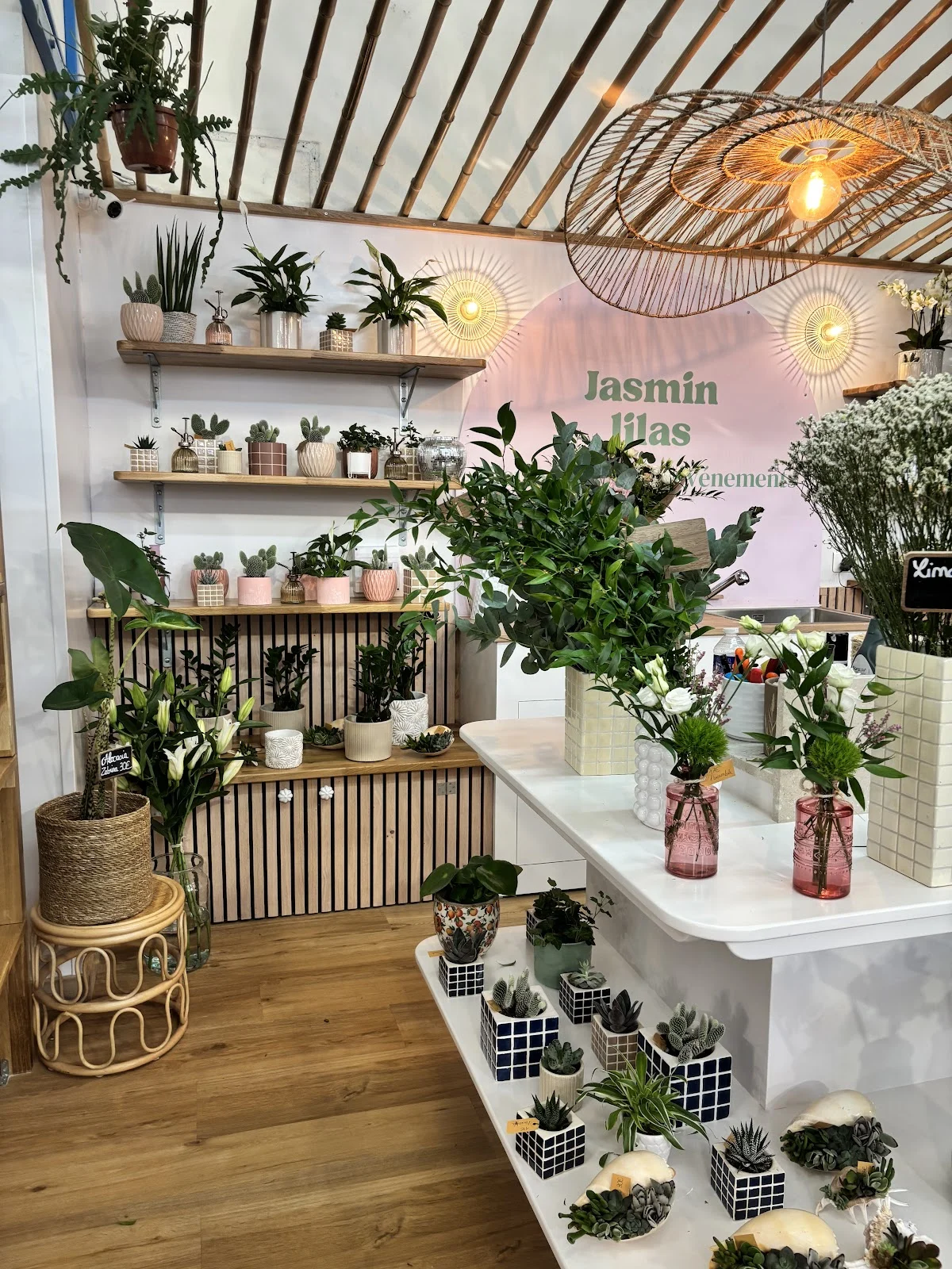Jasmin Lilas Artisane Fleuriste