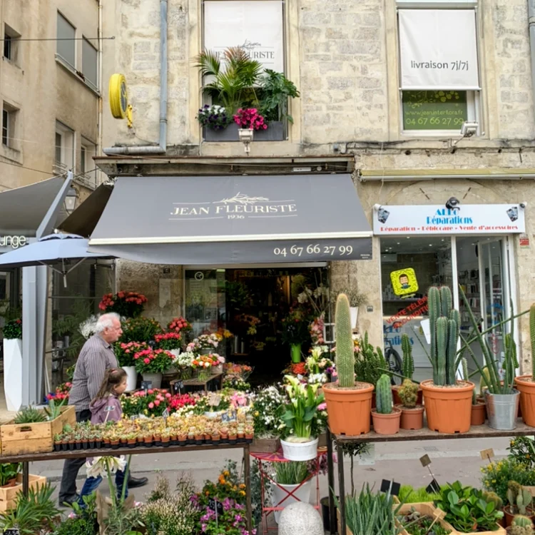 Jean Fleuriste Montpellier - 4