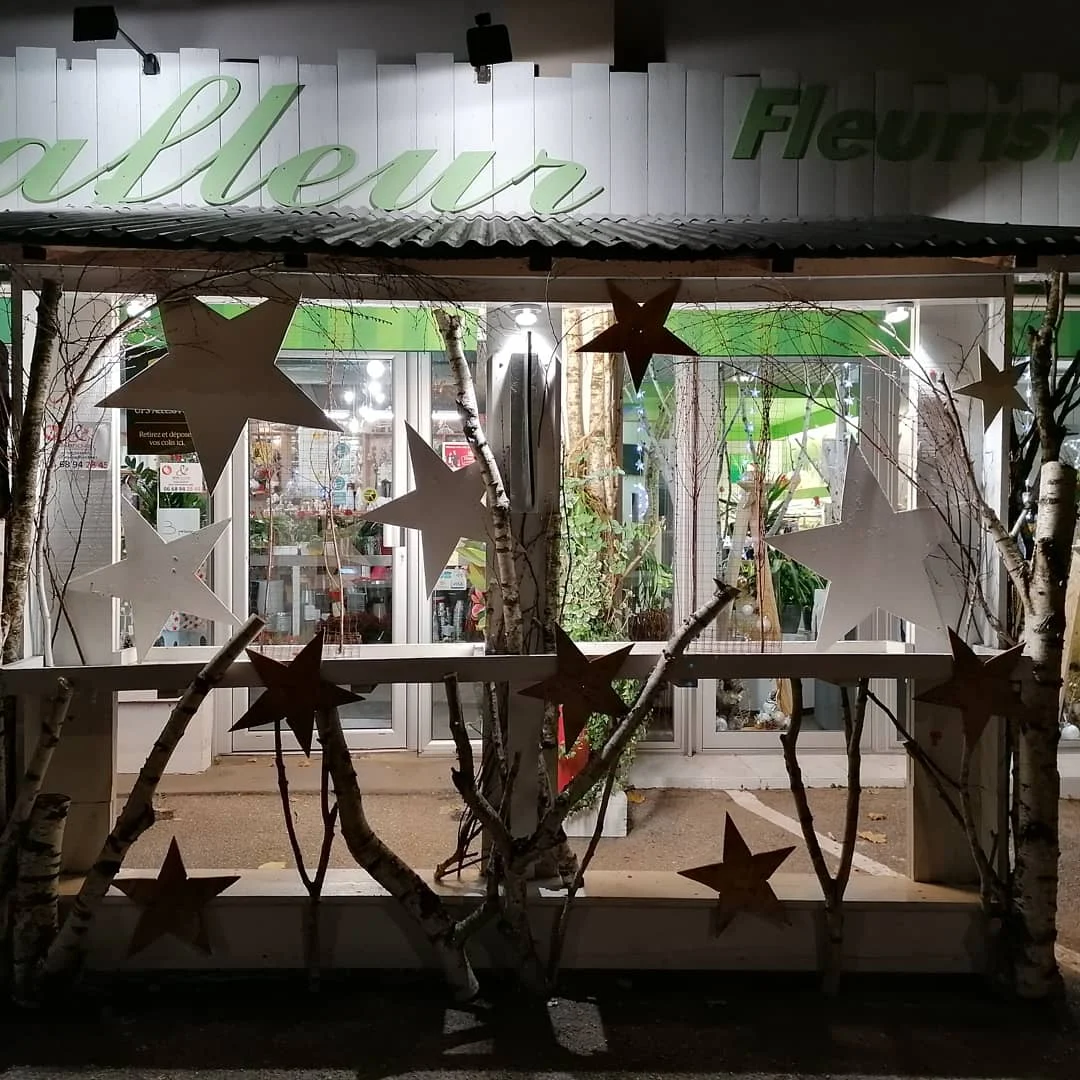Jo lafleur | Fleuriste Besançon - 2