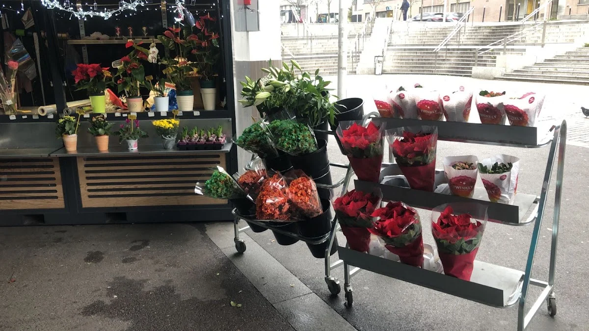 Jolie Fleurs - 3
