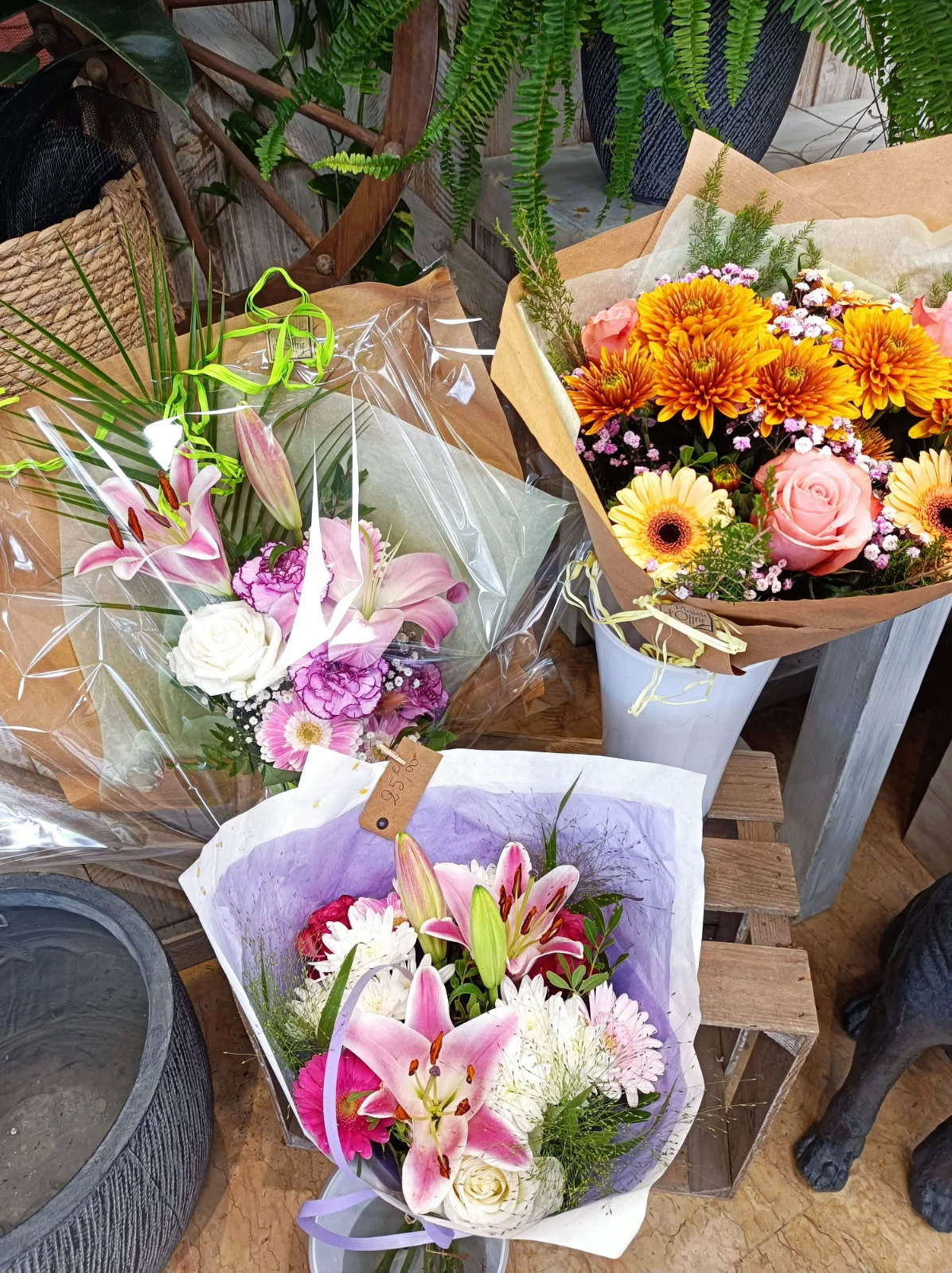 JOSEPHINE FLEURS - 4