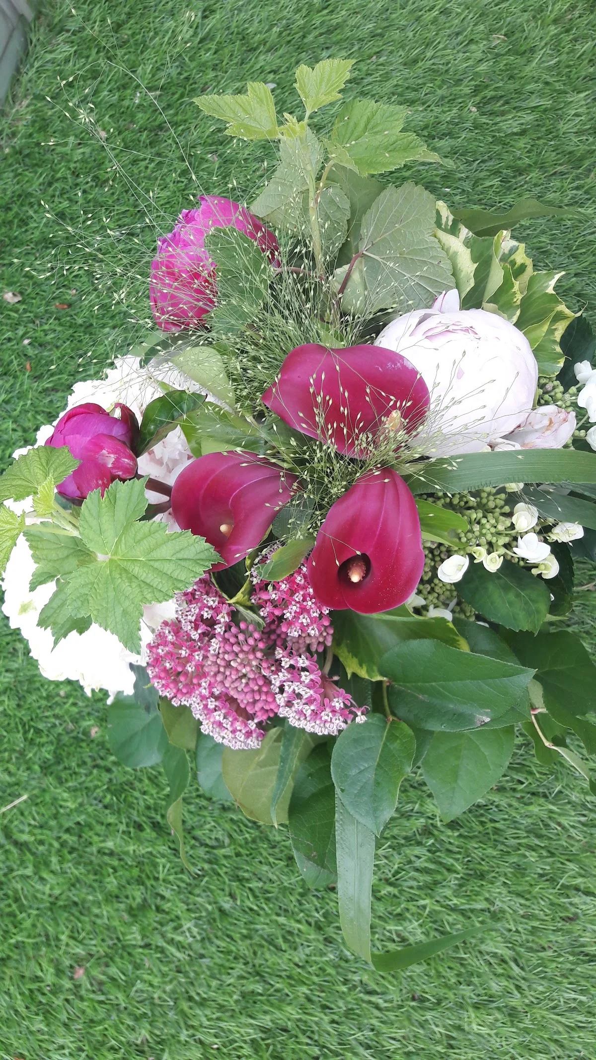 Josette Fleurs - 5