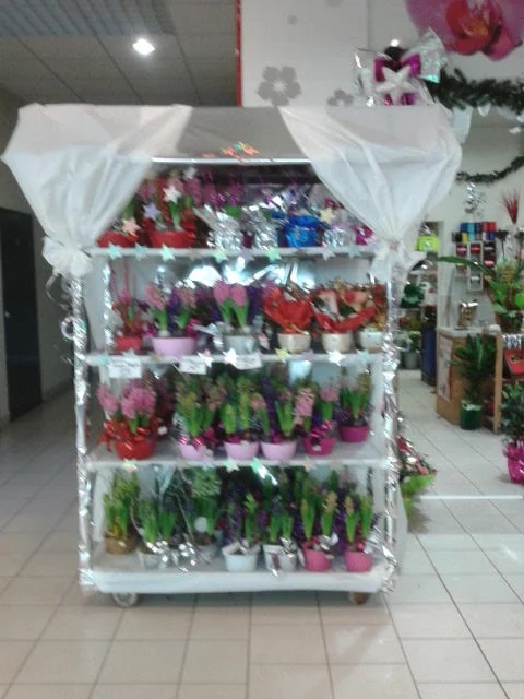 Karine fleurs