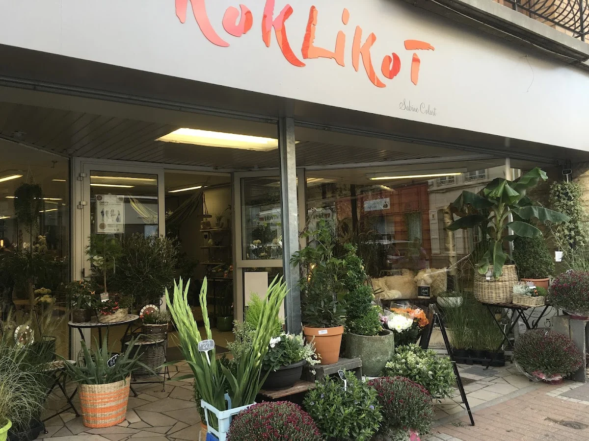 Koklikot - 4