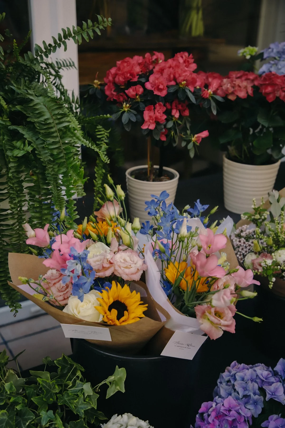 La conciergerie des fleurs - 4