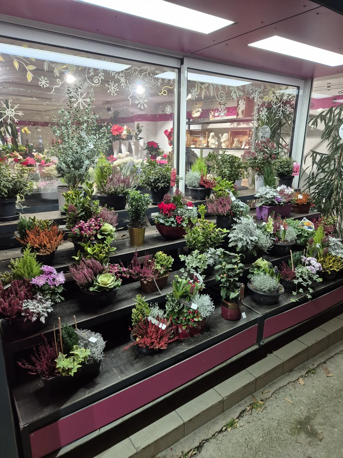 La Fleuriste - Montigny lès Metz - 5
