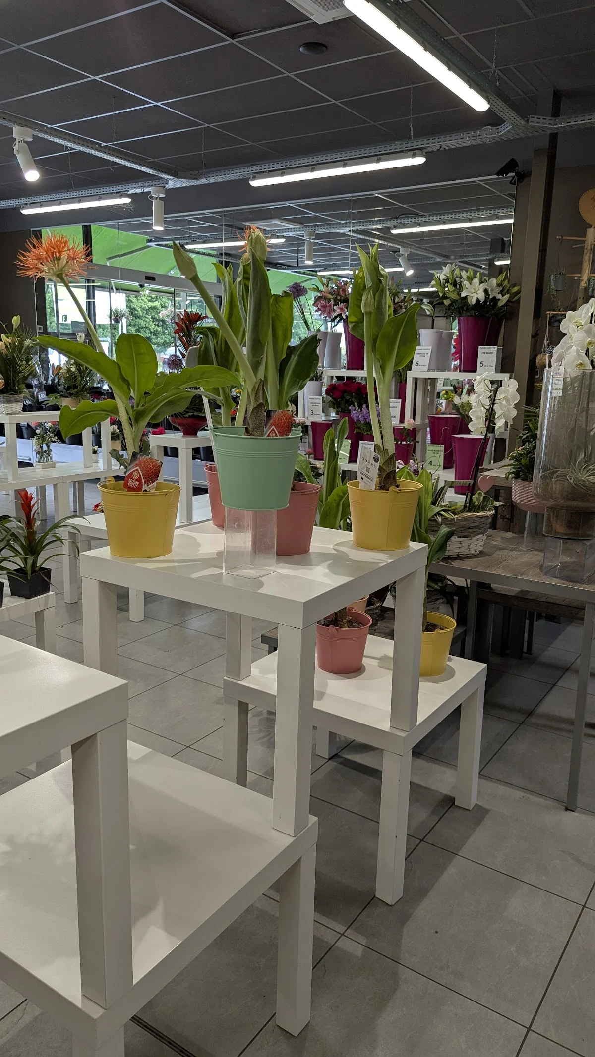 LA HALLE AUX FLEURS - 2