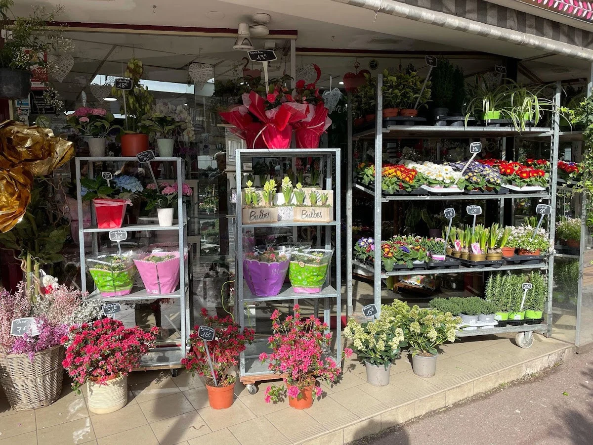 La Jardinerie - 2