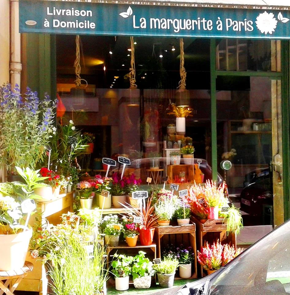 La marguerite à Paris - 2