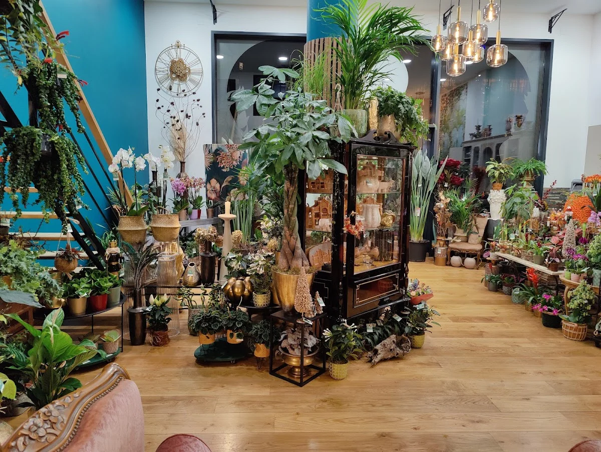 La Nature vous M | Fleuriste Toulouse - 3