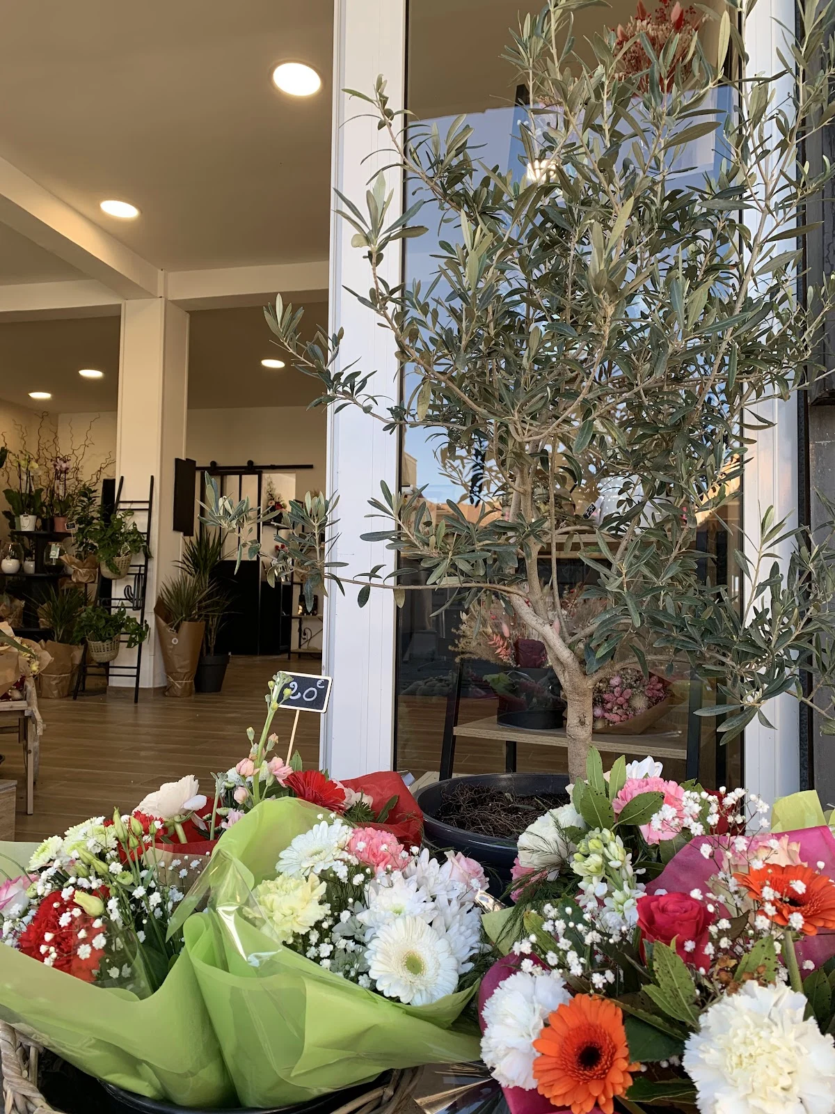 La Rose de Montesoro - 4