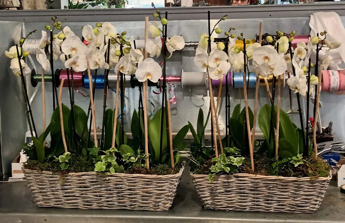 La Vie en Fleurs, Artisan Fleuriste Cambrai - 4