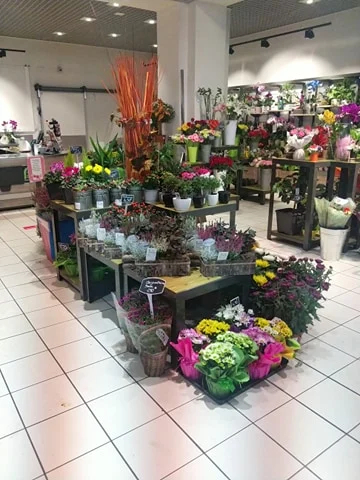 La vie en Fleurs Hyper U Manosque - 2