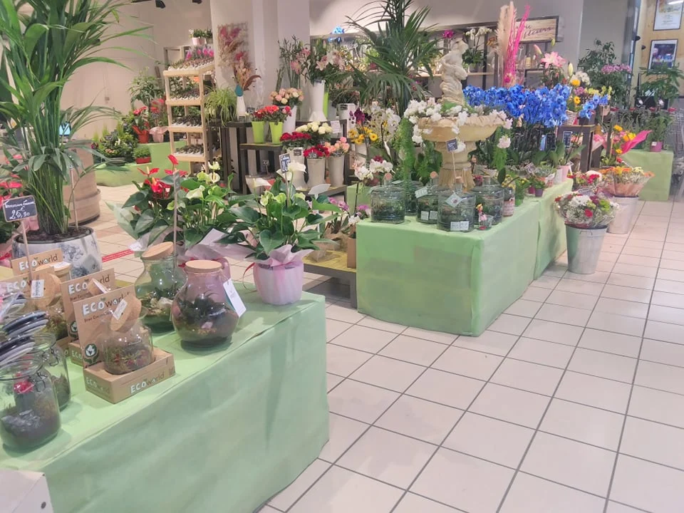 La vie en Fleurs Hyper U Manosque - 3