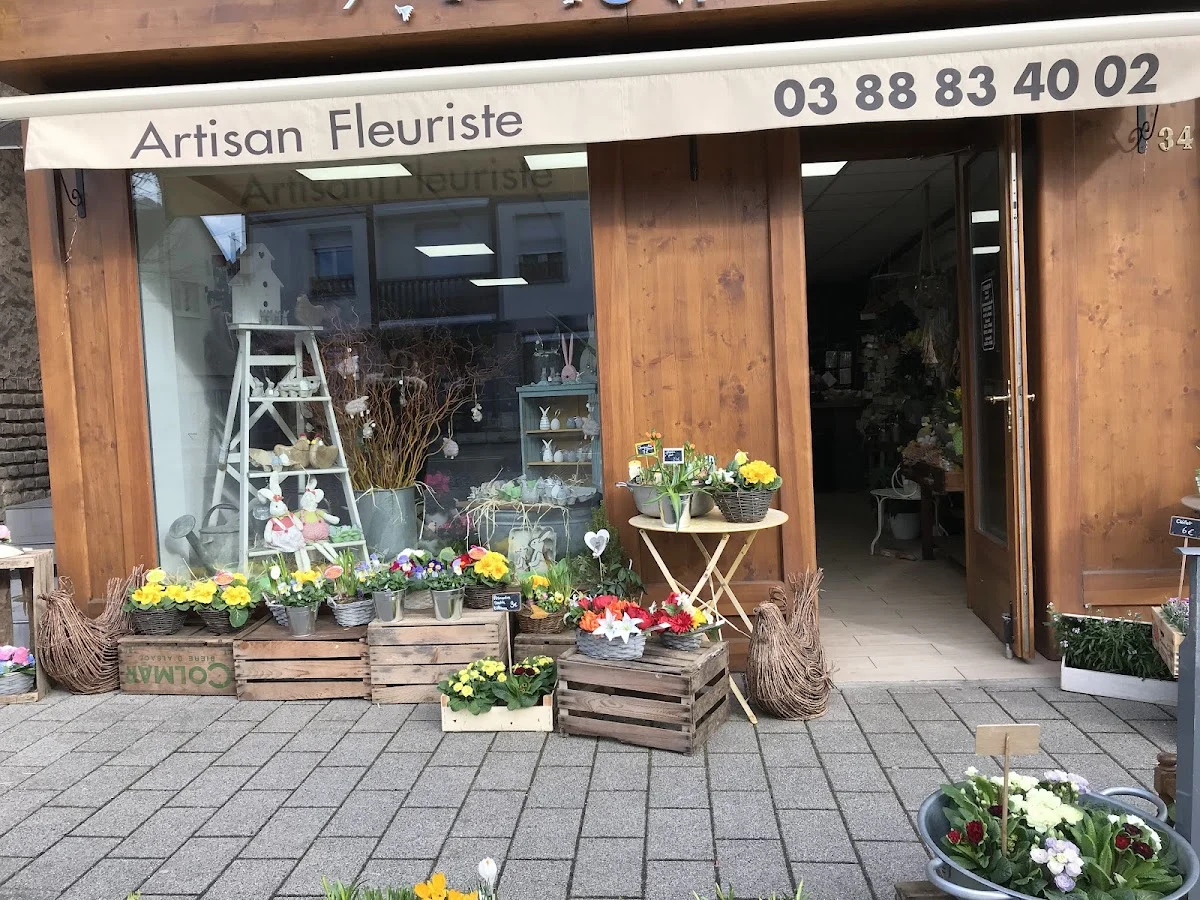 L'agapanthe