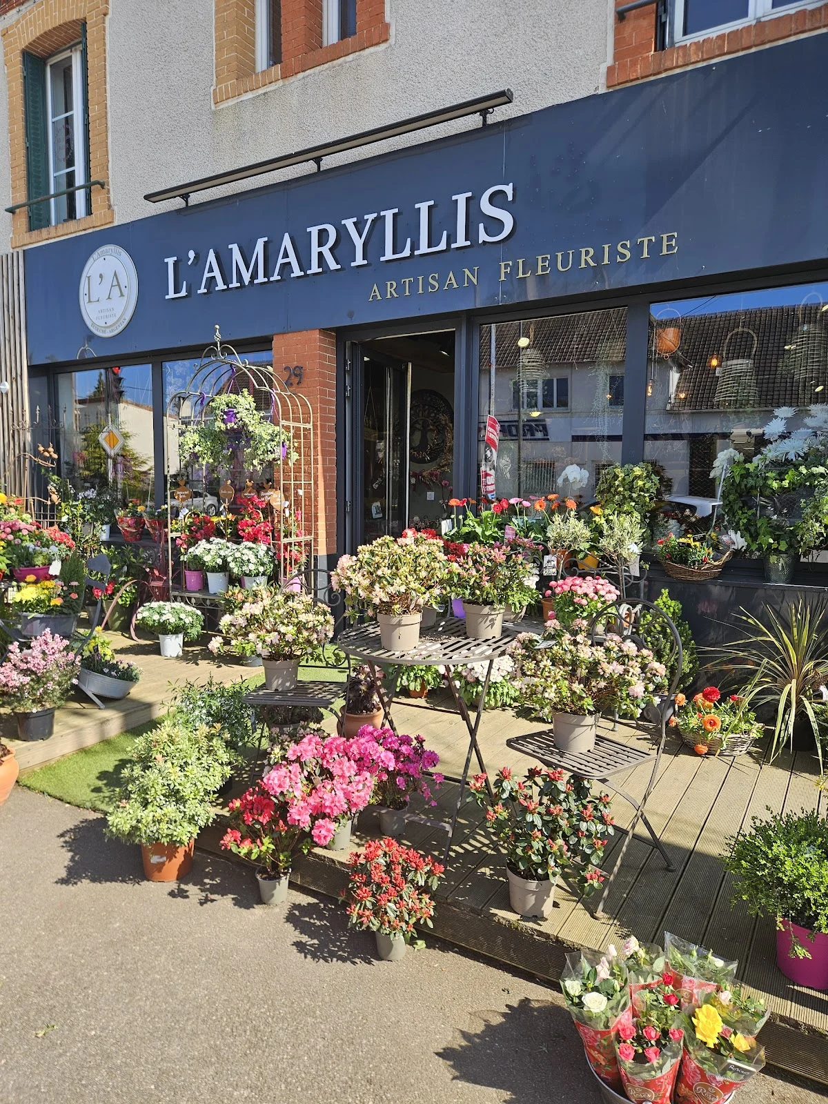 L'Amaryllis Fleuriste