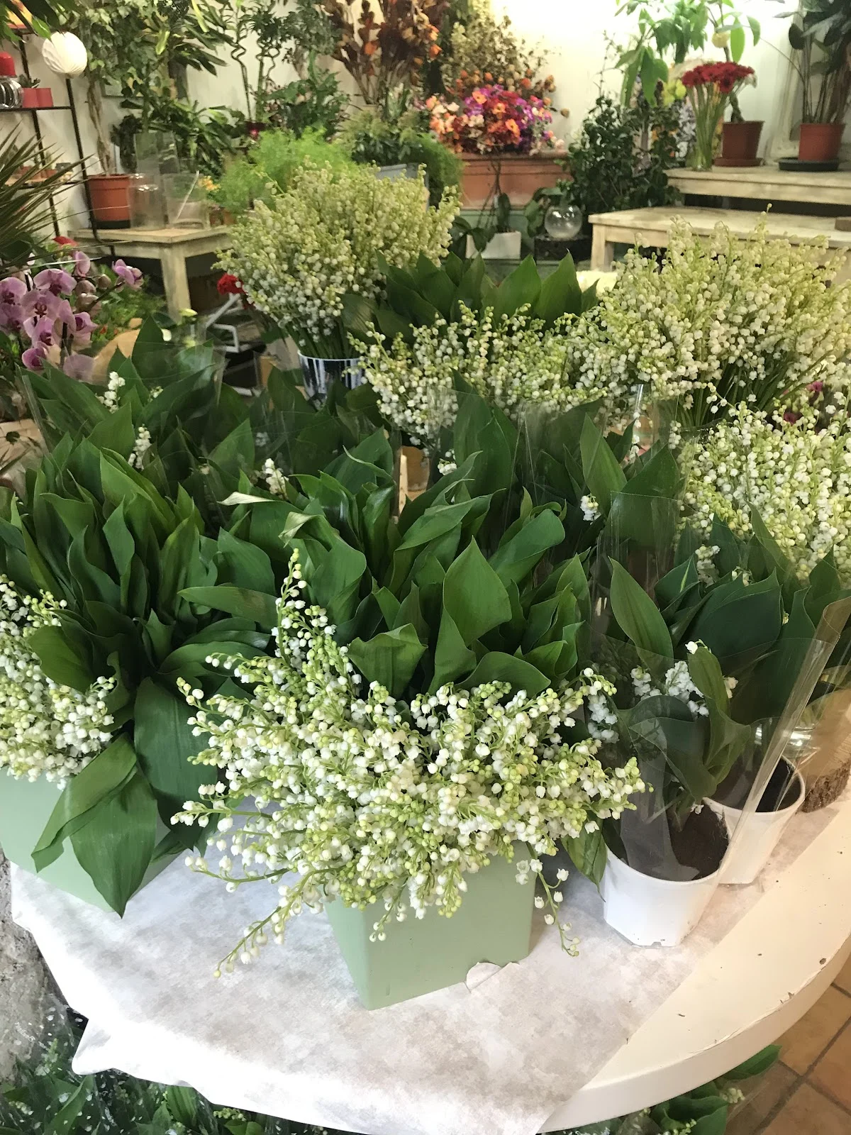 l'Arthur fleurs - 2