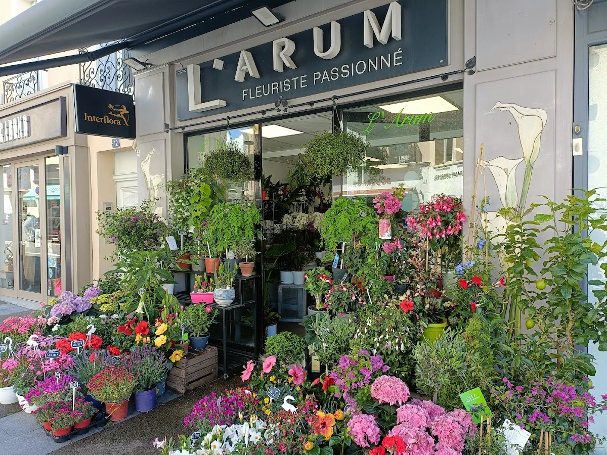 L'ARUM - 3