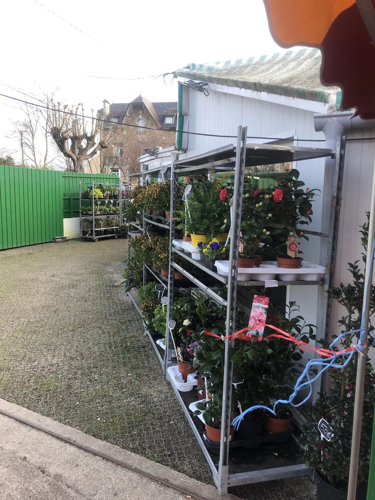 L'atelier aux roses - 5