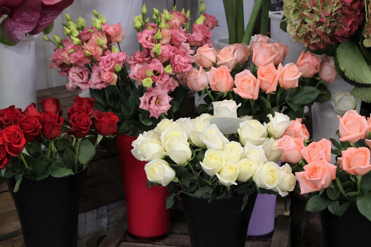 L'atelier aux roses - 6