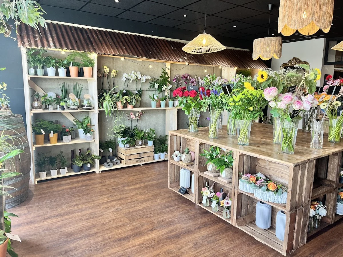 L'Atelier d'Elisa