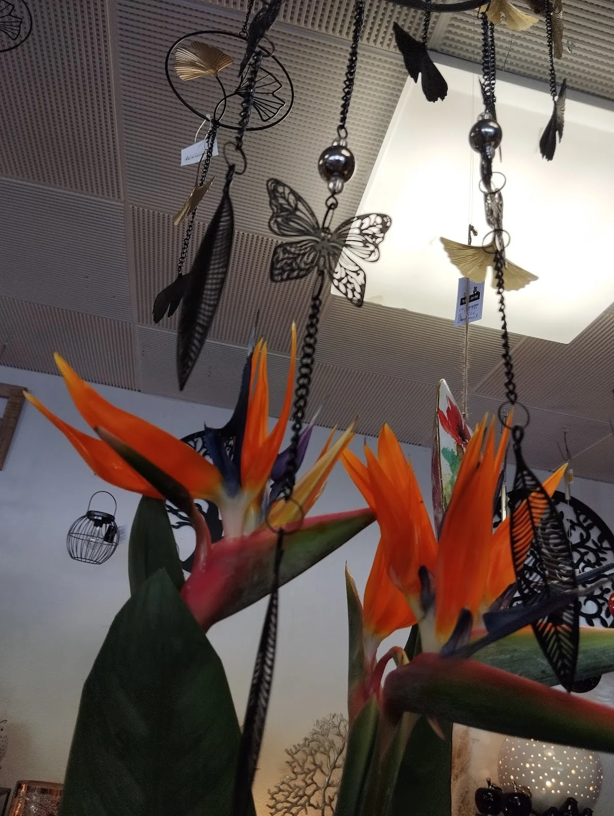 L'atelier floral de Caro - 3